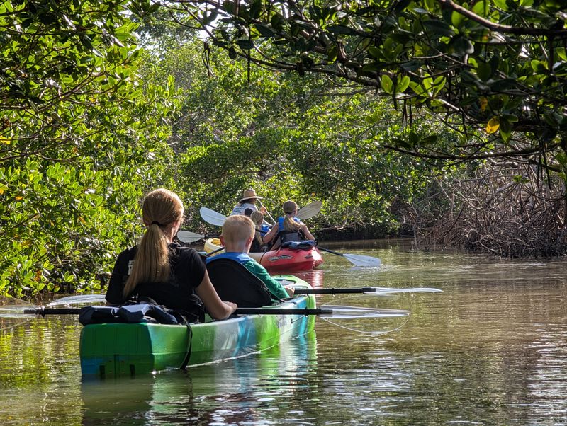 Manatee River Boating and Paddleboarding