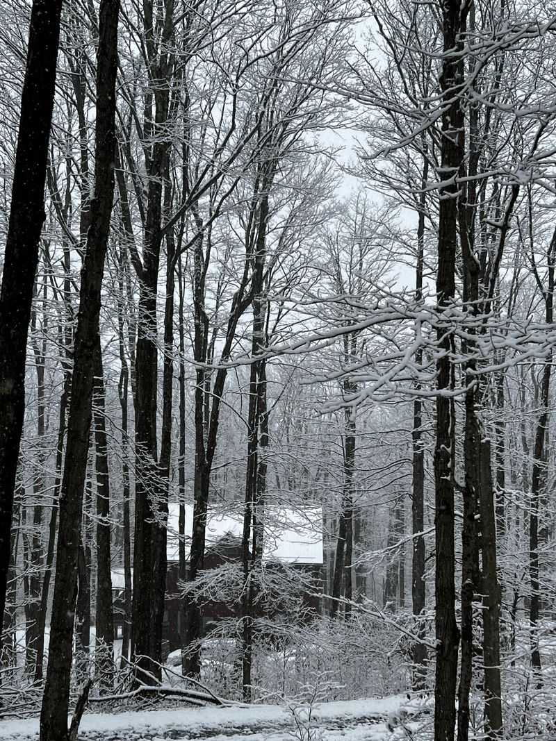 Canaan Valley National Wildlife Refuge