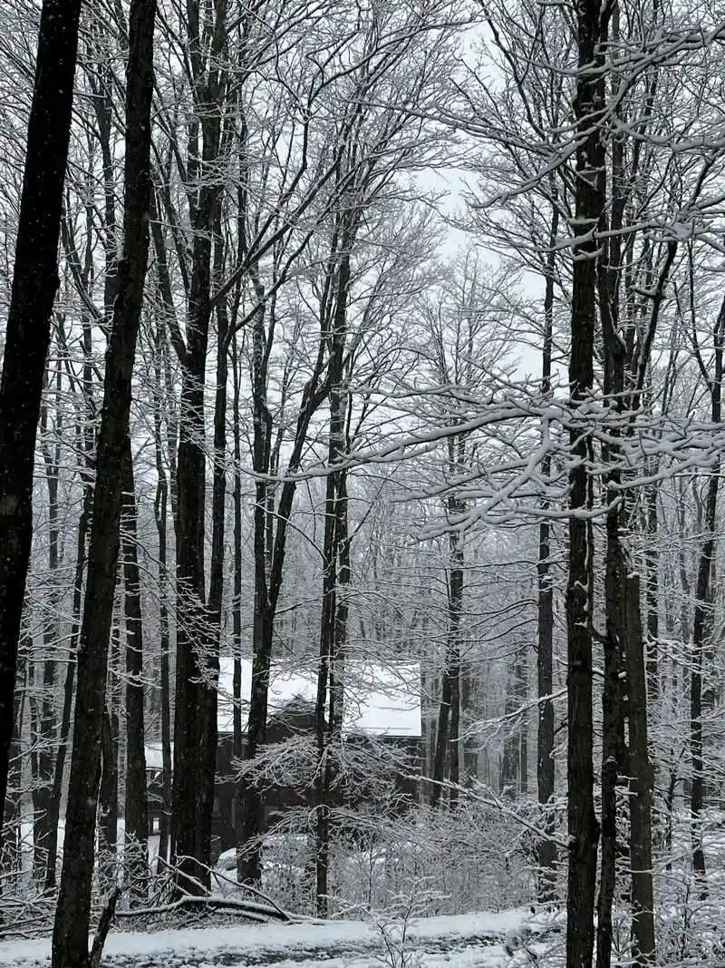 Canaan Valley National Wildlife Refuge