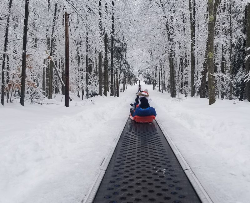 Blackwater Falls Sled Run