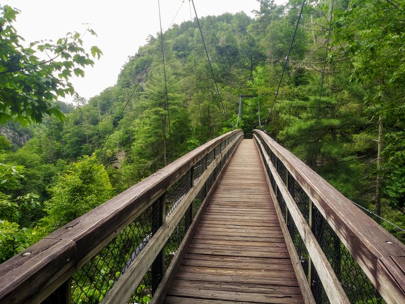 Chattahoochee National Forest Trails