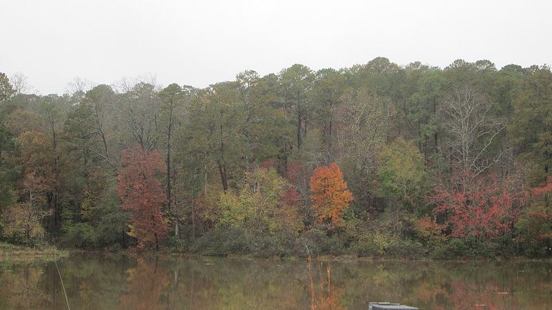 Brantley Lake State Park