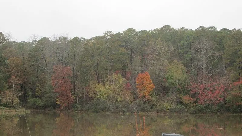 Brantley Lake State Park