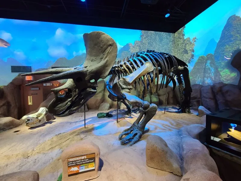 Greensboro Science Center Wonder Loop