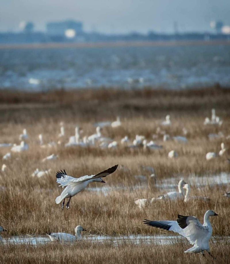 Cape May, New Jersey