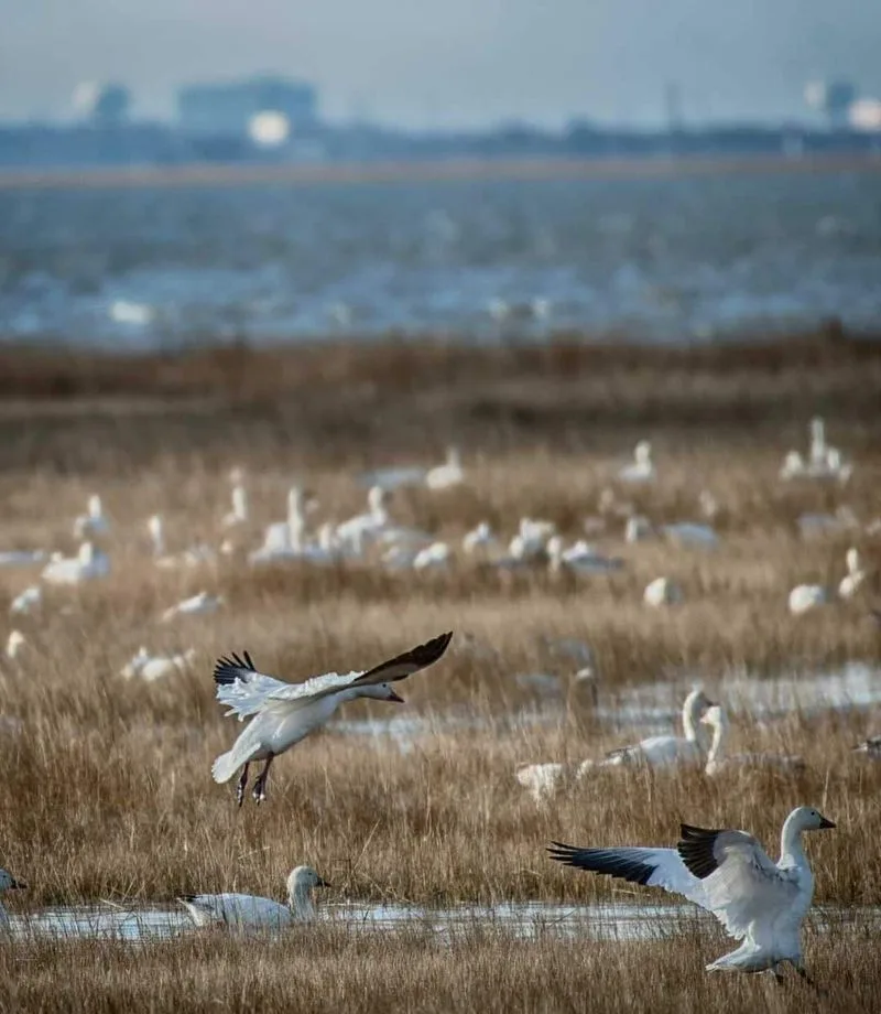 Cape May, New Jersey