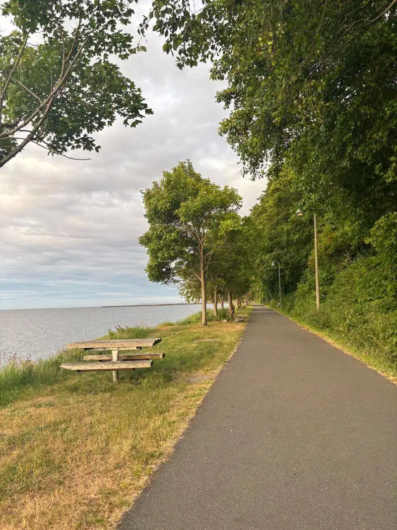 Forks to the Pacific: Wild West Reach