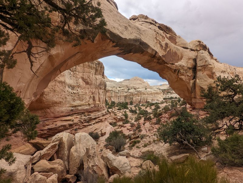 Capitol Reef Scenic Drive &mdash; fruit orchards and folded rock