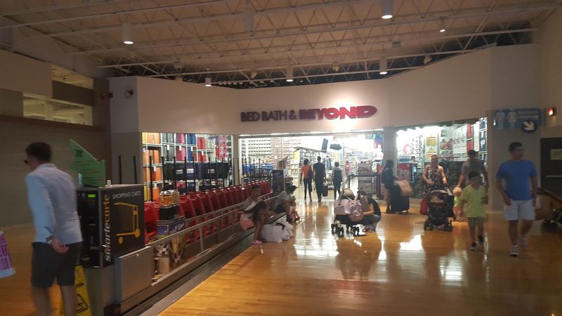 Accessibility and Comfort Essentials