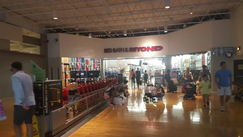 Accessibility and Comfort Essentials