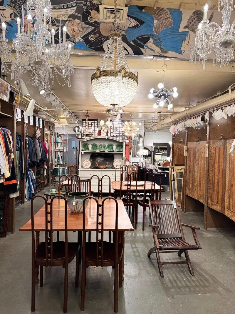 The Vintage Thrift Shop