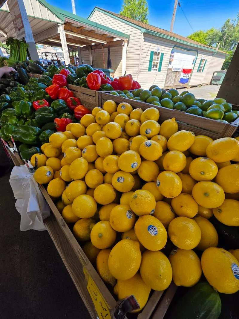 Flowers, Plants, and Seasonal Displays