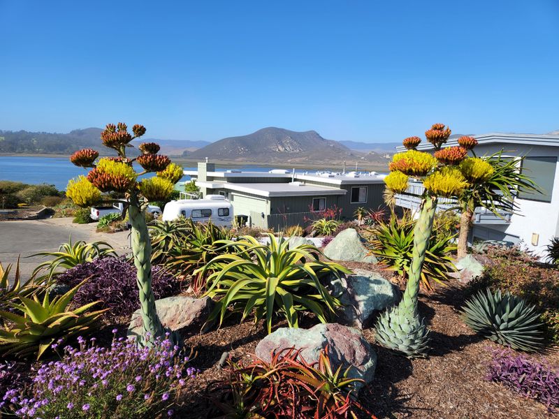 Los Osos, California