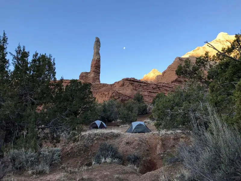 Photography Tips and Best Light