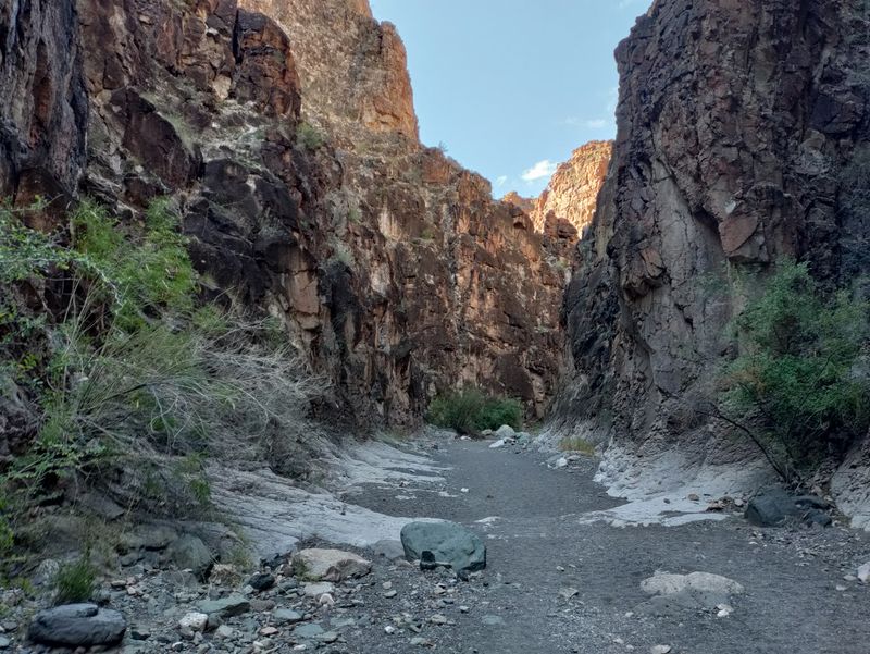 Big Bend Ranch State Park