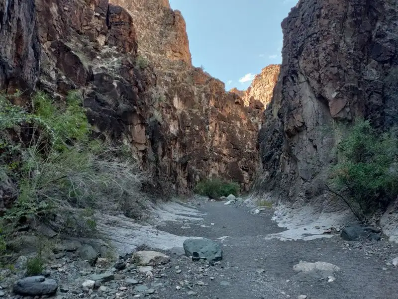 Big Bend Ranch State Park