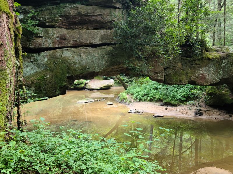 Daniel Boone National Forest