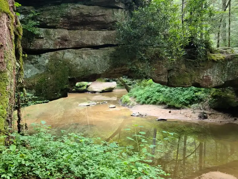 Daniel Boone National Forest