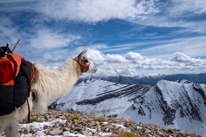 Capitol Reef: Hidden Gem in the Snow