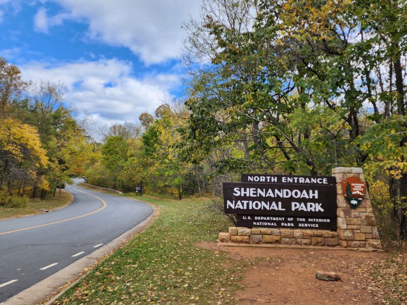 Shenandoah National Park - Skyline Drive Focus