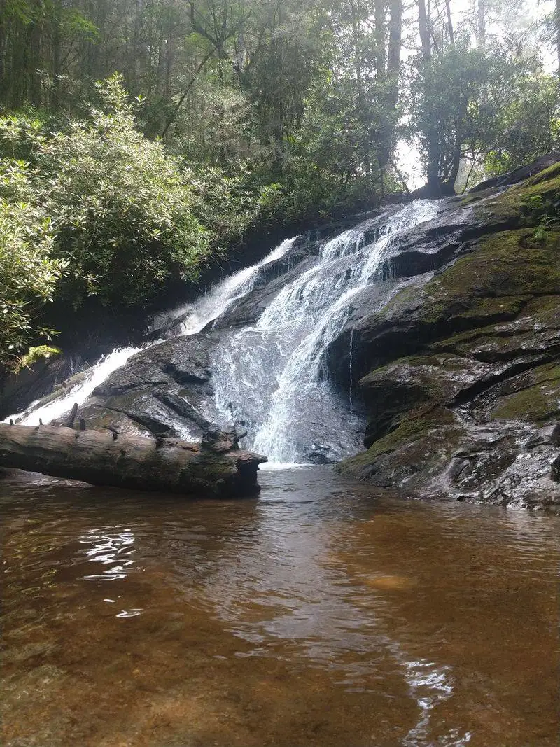 Long Creek and Fall Branch Falls