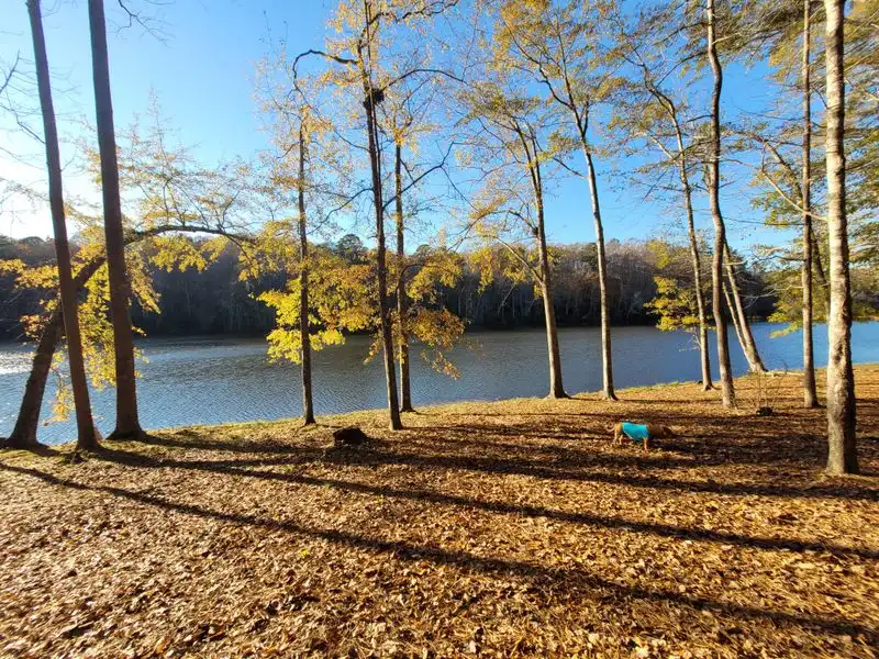 Lake Lurleen State Park