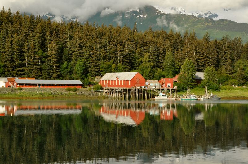 American Bald Eagle Foundation and Raptor Center