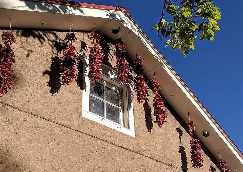 Local Spice and Chili Vendors