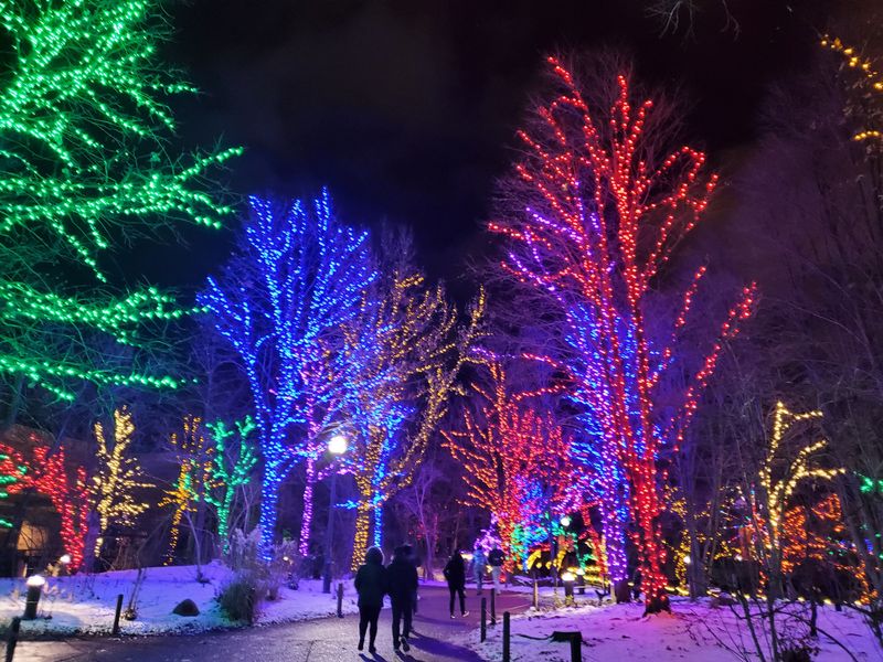 Lincoln Park Zoo Holiday Market