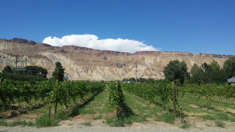 An Agricultural Heart Rooted in Simplicity