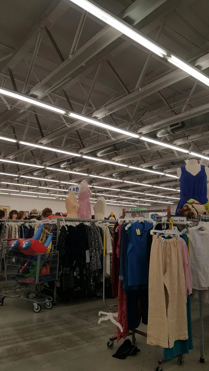 Timing your visit for best results