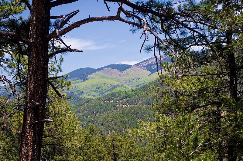 Hyde Memorial State Park