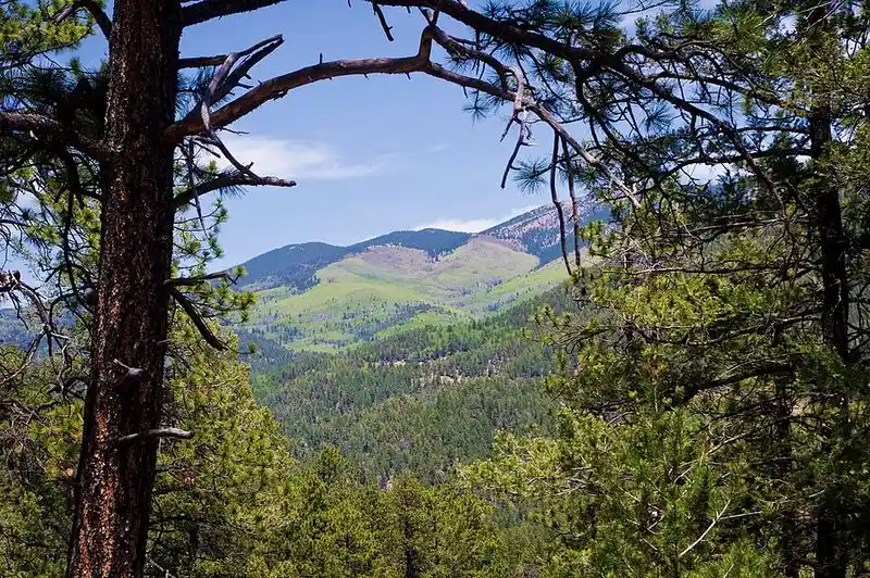 Hyde Memorial State Park