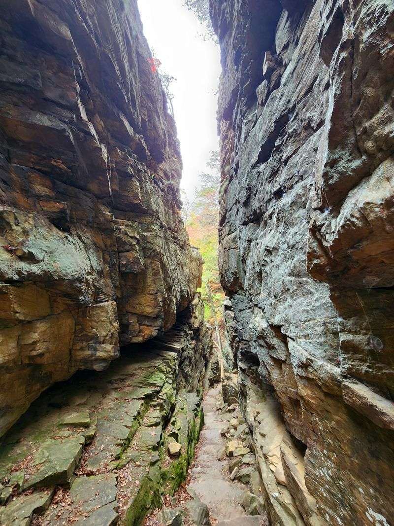 Sewanee Sandstone Geology Walk