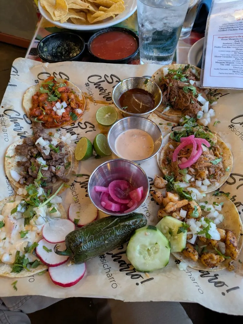 Community and Cultural Impact