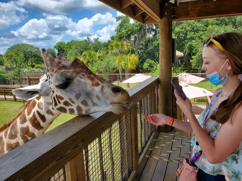 Best Times and Seasonal Tips