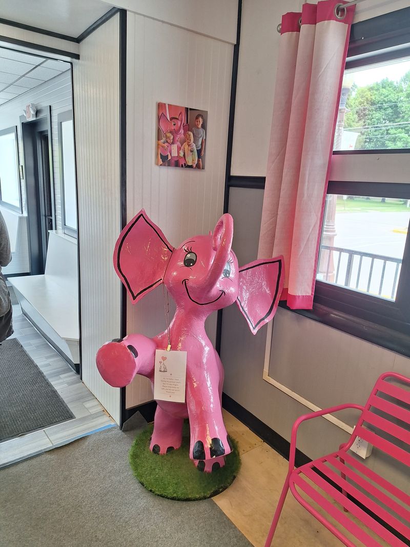 Pink Elephant Diner &mdash; Hart