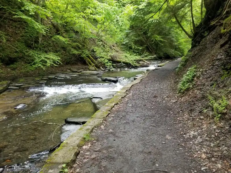 Gorge Trail