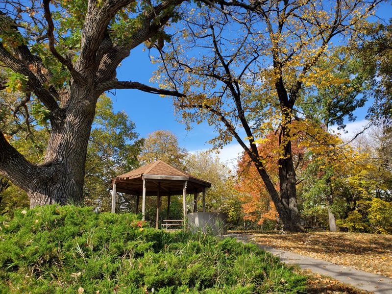 Outdoor Relaxation: Parks and Trails