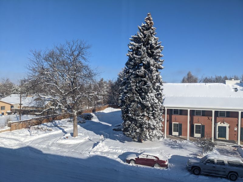 Four Distinct Seasons That Shape the Rhythm of Life