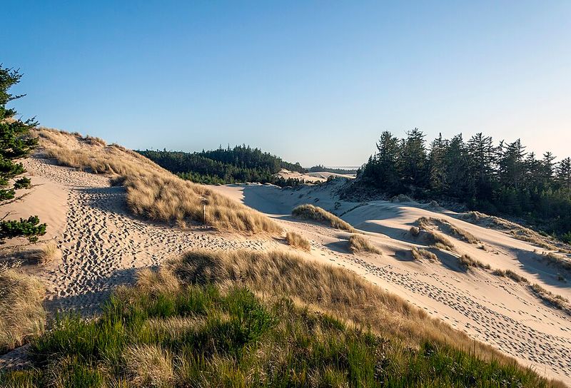 Oregon Dunes National Recreation Area