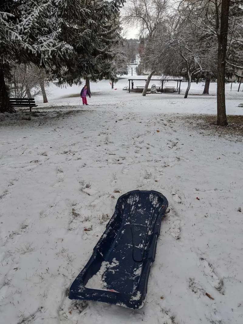 Hillside Sledding and Tailgate Thermos