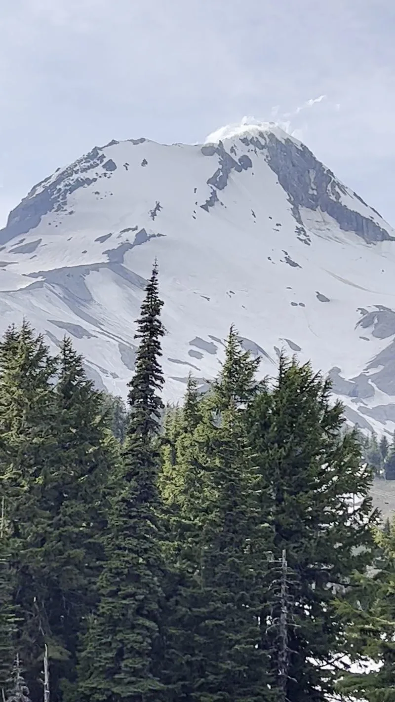 Mount Hood Railroad: Hood River to Parkdale Winter Express