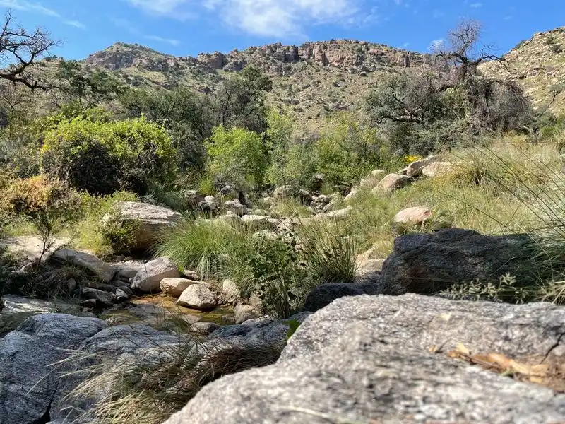 Hiking pullouts and short trails