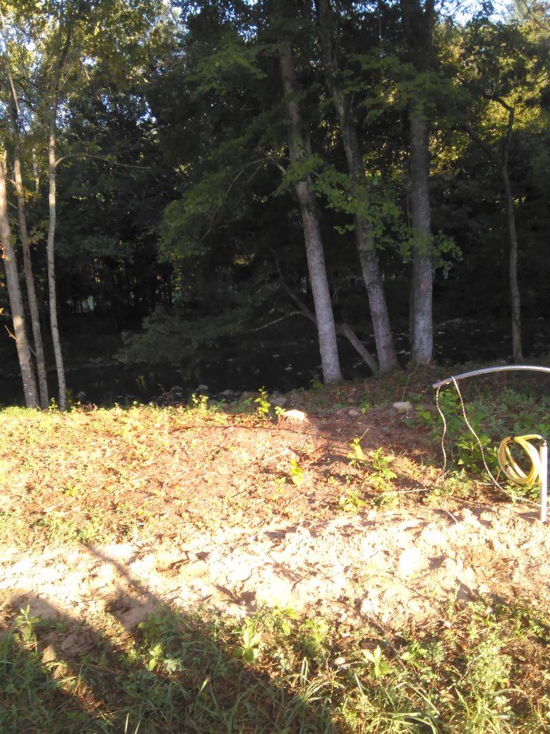 Big Hollow — Nicholas County