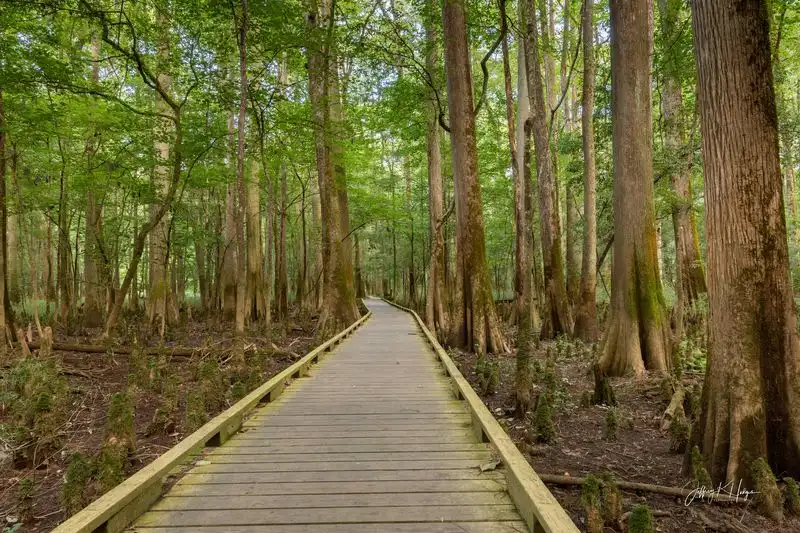 Congaree National Park