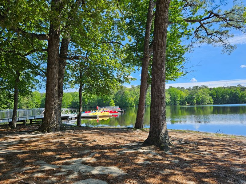 Trap Pond State Park