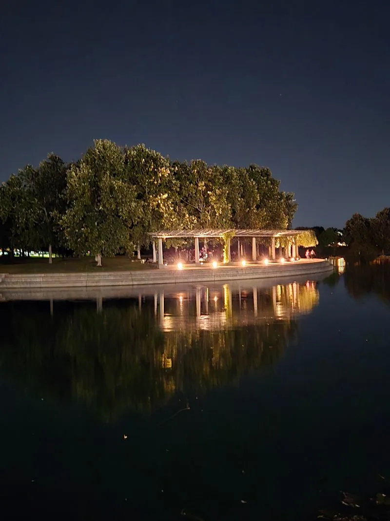 Visit the Austin Trail of Trees in Mueller