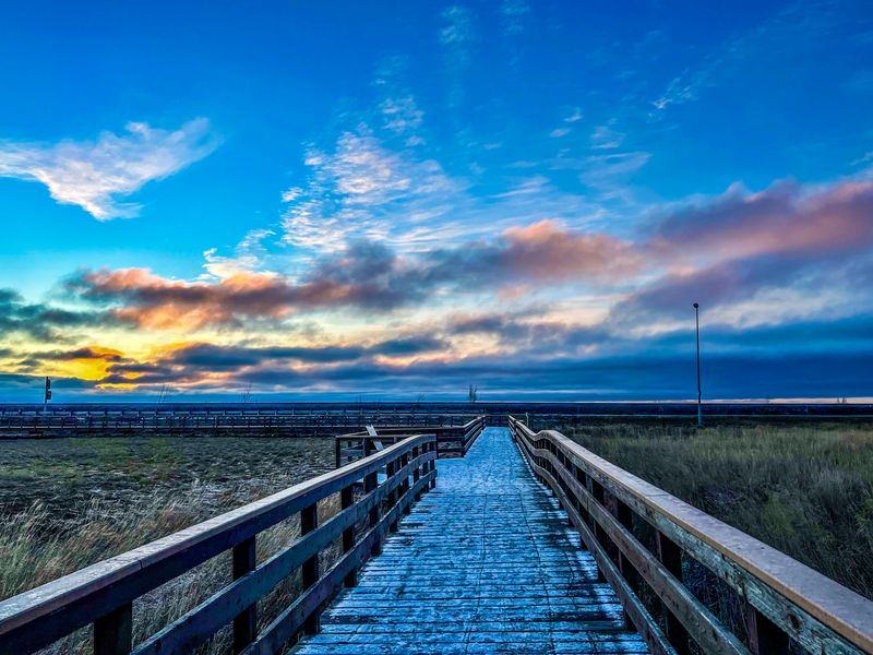 Potter Marsh