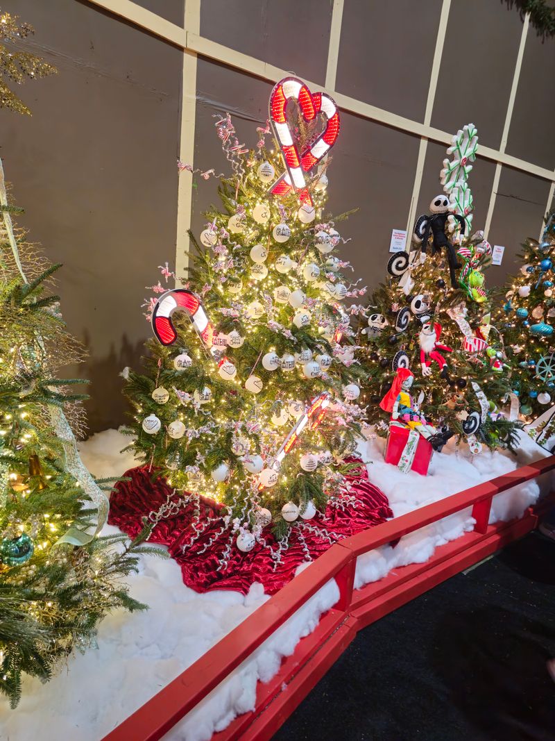 Southern Christmas Show, Charlotte